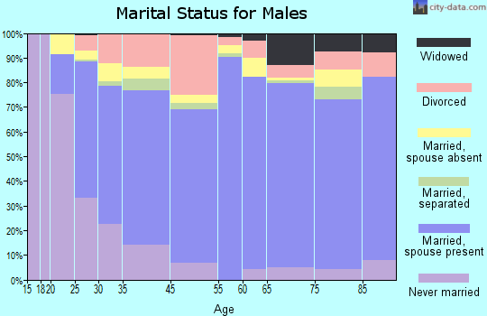 Hayesville marital status for males