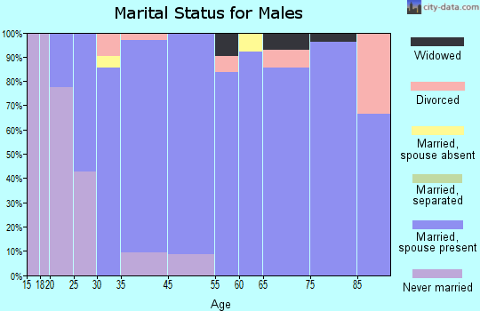 Island City marital status for males