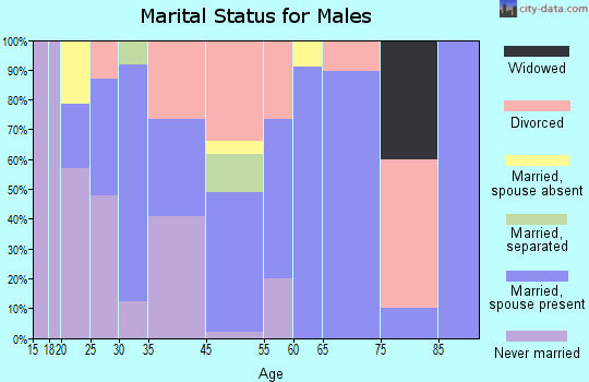 Johnson City marital status for males