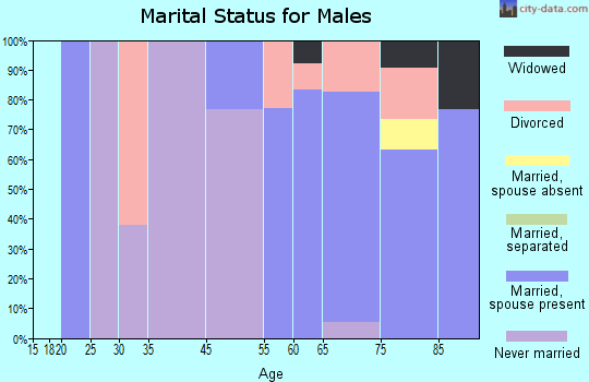 King City marital status for males