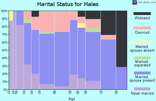 Lakeview marital status for males