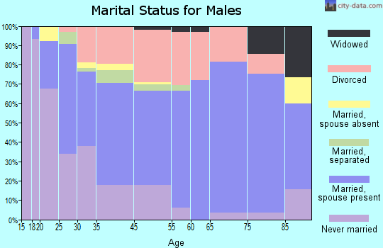 Lincoln City marital status for males