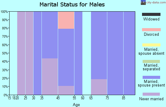 Dillon Beach marital status for males