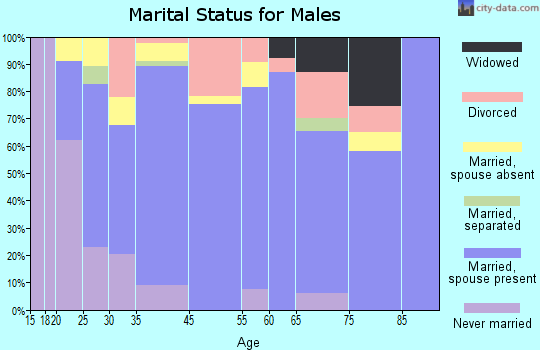 Nyssa marital status for males