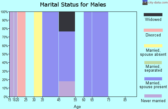 Parkdale marital status for males