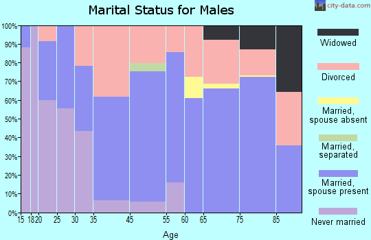 Rogue River marital status for males