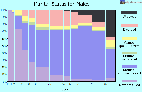 Salem marital status for males