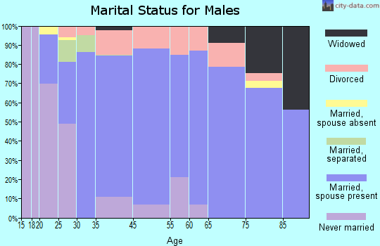 Silverton marital status for males
