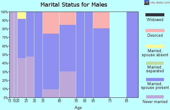 South Lebanon marital status for males