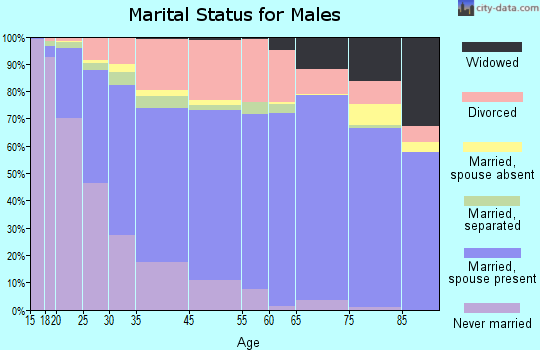 Springfield marital status for males