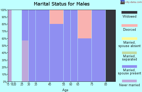 Summerville marital status for males