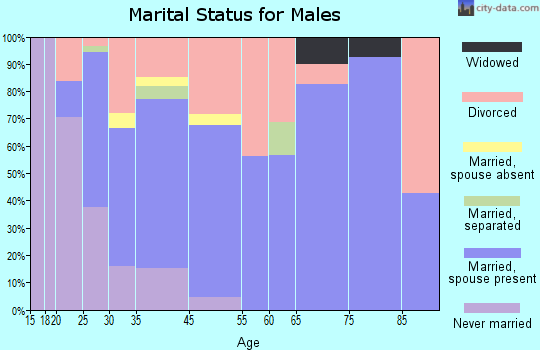 White City marital status for males