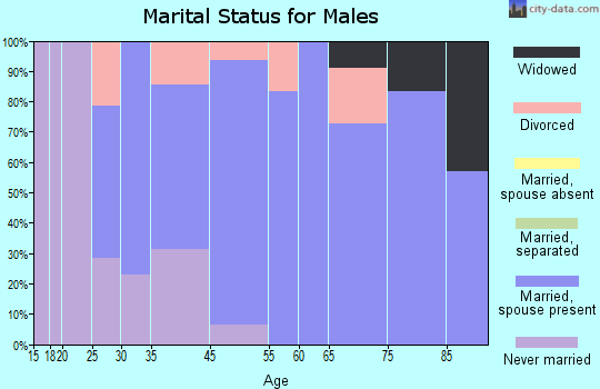 Aaronsburg marital status for males