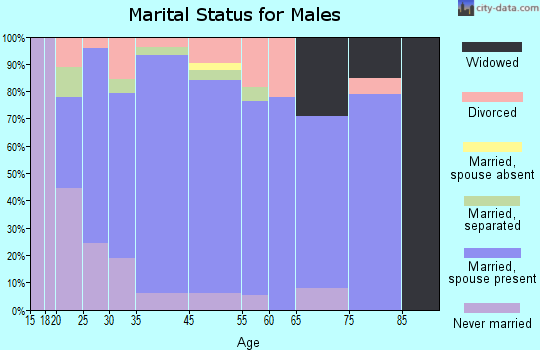 Adamstown marital status for males
