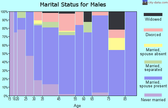 Akron marital status for males