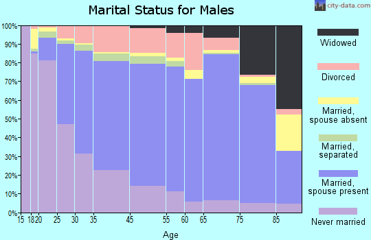 Altoona marital status for males