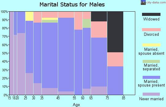 Amity Gardens marital status for males