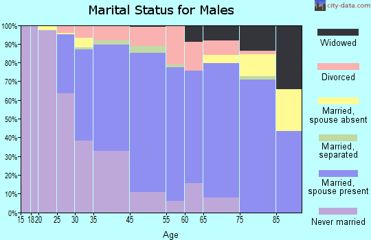Ardmore marital status for males