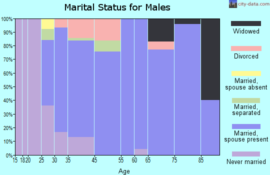 Arendtsville marital status for males