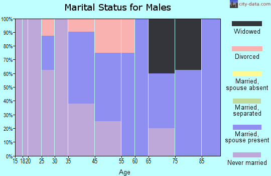 Ashville marital status for males