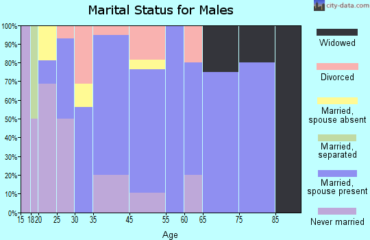 Austin marital status for males
