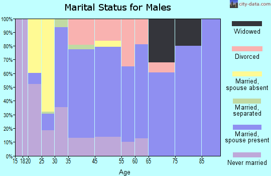 Avondale marital status for males