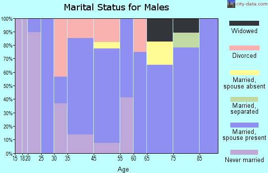 Beaverdale-Lloydell marital status for males