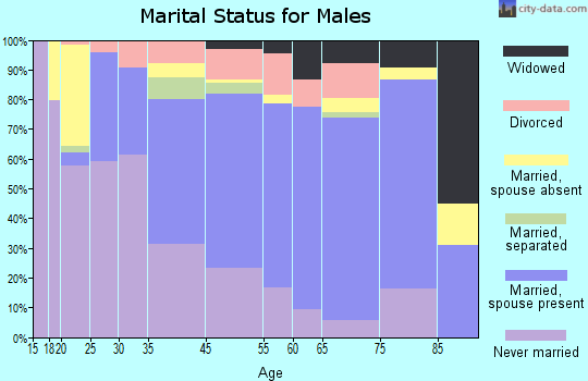 Beaver Falls marital status for males