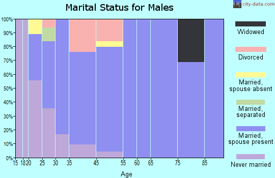 Beaver Springs marital status for males