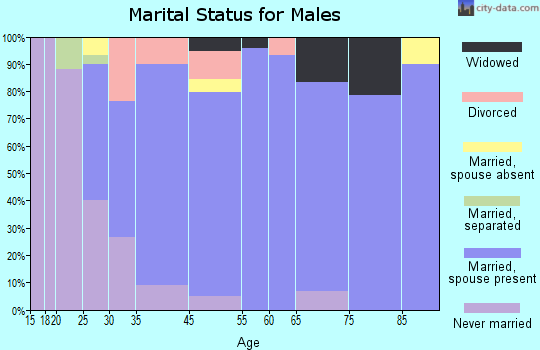 Beavertown marital status for males