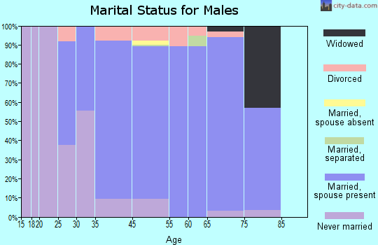 Bell Acres marital status for males
