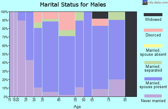 Bellwood marital status for males
