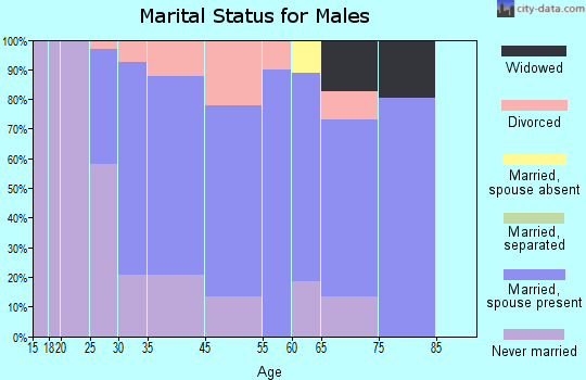 Ben Avon marital status for males