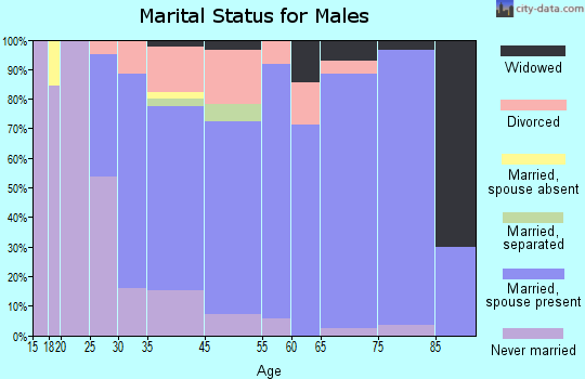Bessemer marital status for males