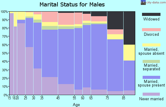 Bethlehem marital status for males