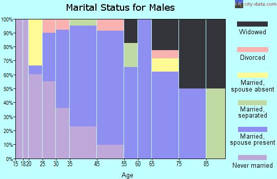 Black Lick marital status for males
