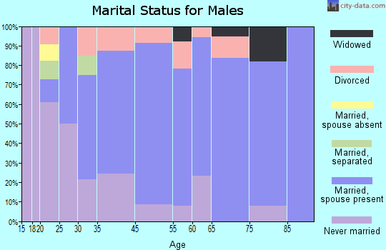 Blairsville marital status for males