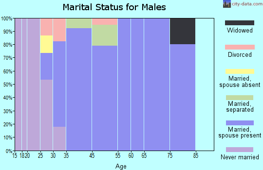 Blooming Valley marital status for males