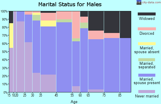 Blossburg marital status for males