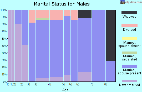 Boiling Springs marital status for males