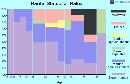 Braddock marital status for males