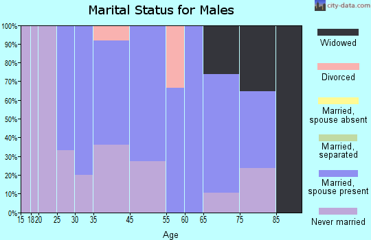 Branchdale marital status for males