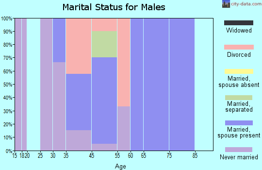 Brandonville marital status for males
