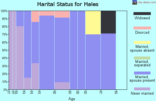 Brickerville marital status for males