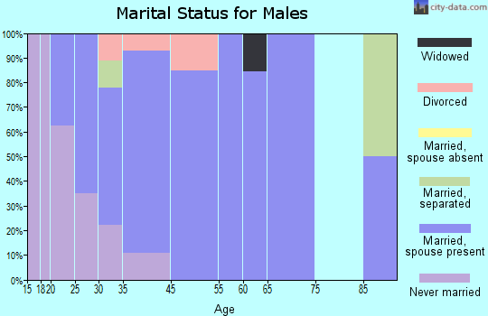 Brisbin marital status for males