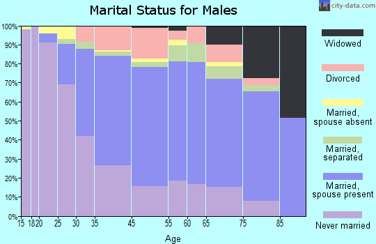 Bristol marital status for males