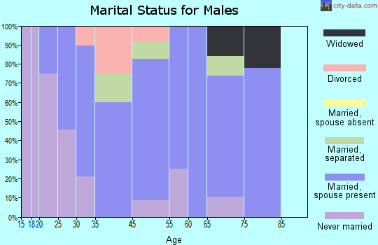Broad Top City marital status for males