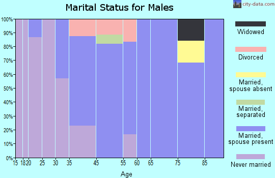Brodheadsville marital status for males
