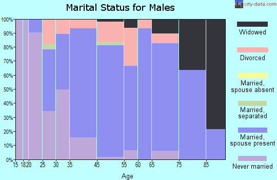 Brookville marital status for males