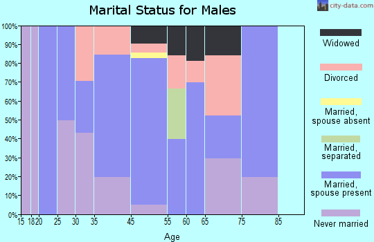 Brownsville marital status for males